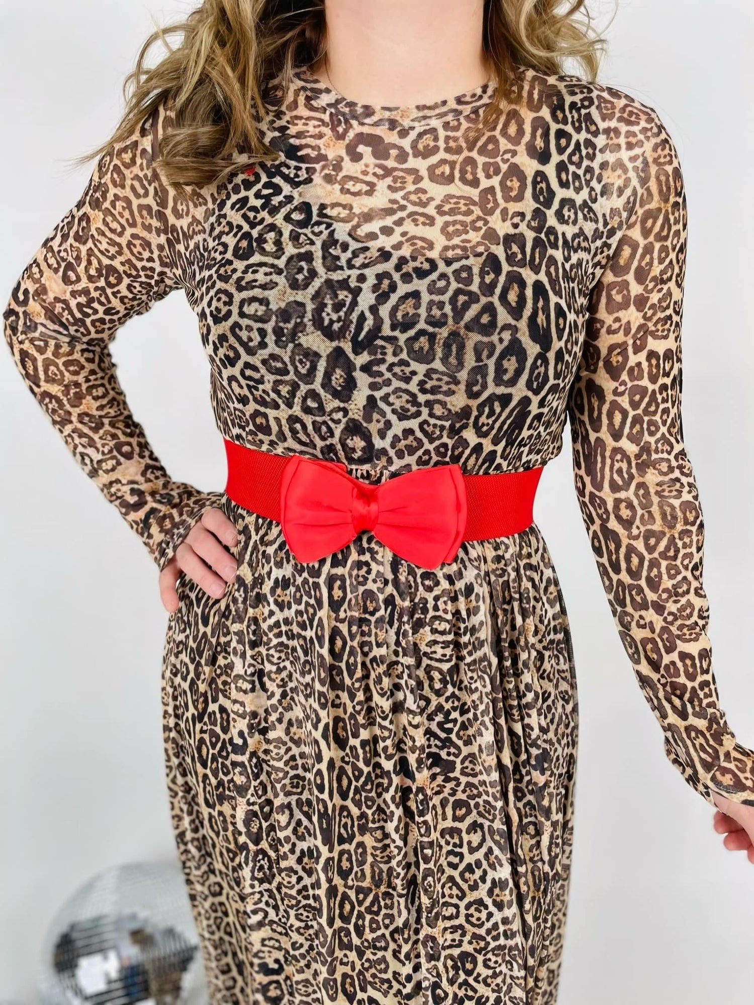 BLAKELEY Carmen Sheer Cheetah Dress