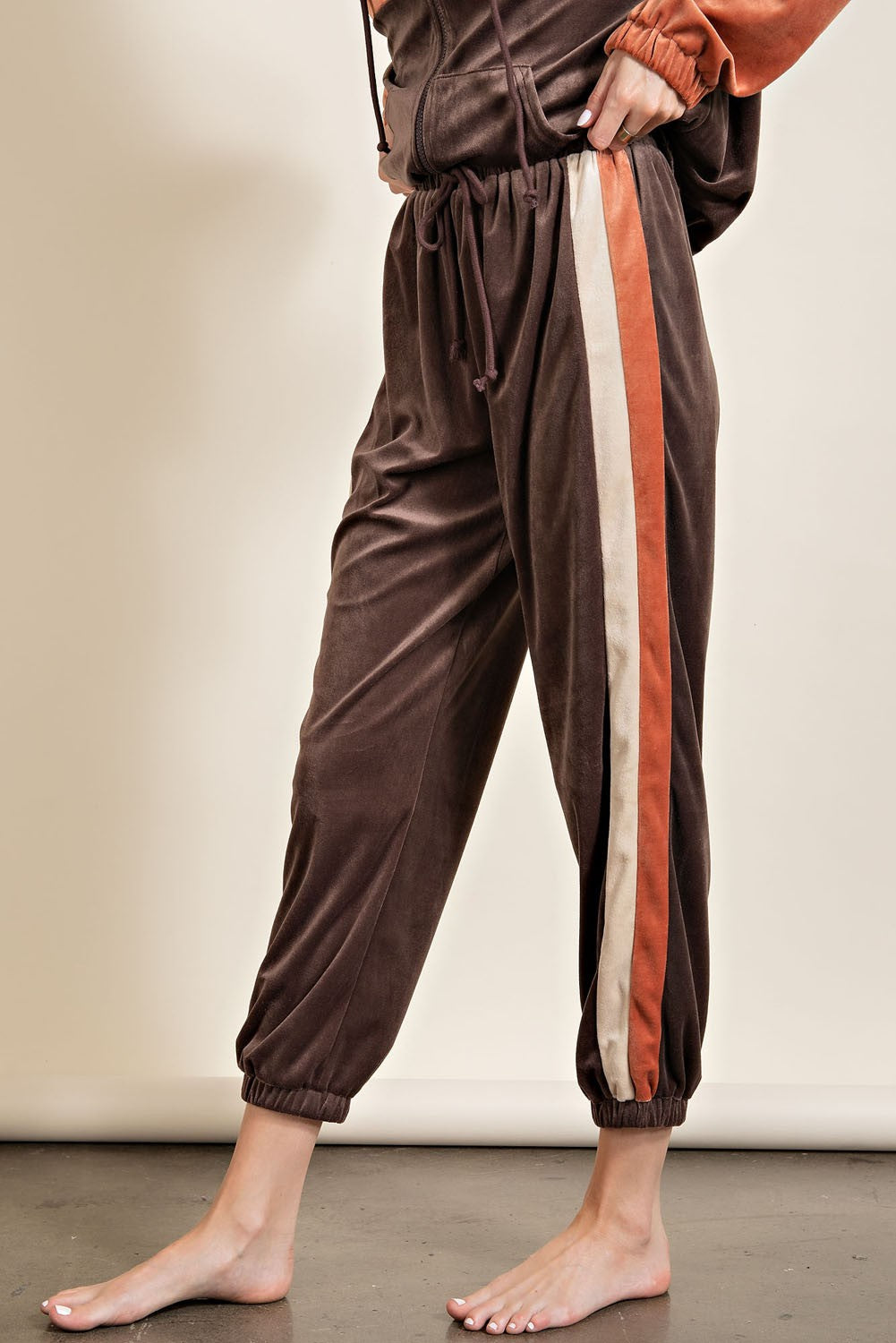 Velour Allure Joggers in Mocha